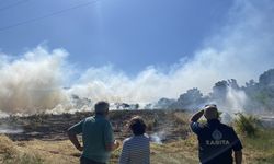 Bodrum'da tarım arazisi ve otluk alanda çıkan yangın söndürüldü