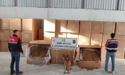 Menderes'te 6 kilo 840 gram kaçak tütün ele geçirildi
