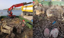 Bodrum'da denizden 45 ton katı atık çıktı
