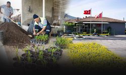 Bornova Belediyesi fidanlığı yeni görünümüyle göz kamaştırıyor