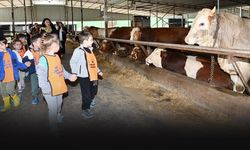 Çiğlili minikler besi çiftliğinde doğa ve hayvanlarla buluştu!
