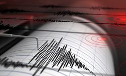 Muğla'da 6,0 şiddetinde deprem... İzmir'i fena salladı!
