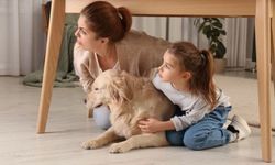 Depremde evcil hayvanınızın güvenliğini sağlama ipuçları
