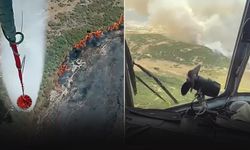 İzmir'de makilik alanda yangın!