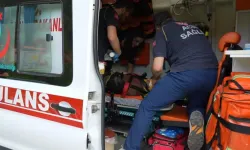 Anne hayatını kaybetti, 2 oğlu hastaneye kaldırıldı