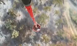 Orman yangınında 2 hektarlık alan zarar gördü