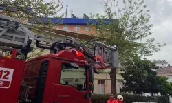 Alaşehir'de bir evde çıkıp dama sıçrayan yangında 2 keçi telef oldu