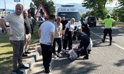 Kütahya’da otomobilin çarptığı iki kardeş yaralandı