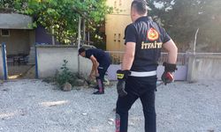 Bahçeye giren yılan yakalanarak doğaya bırakıldı