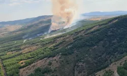 Denizli'nin Çivril ilçesinde orman yangını çıktı