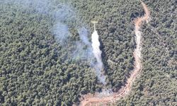 Manisa'daki orman yangını 4 saatte söndürüldü