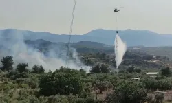 Manisa'da tarım arazisindeki yangın, ormanı da yaktı