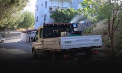 Karabağlar’da haşerelere karşı ilaçlama seferberliği
