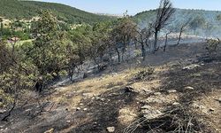 Meşelikte çıkan yangın, 3 saatte söndürüldü