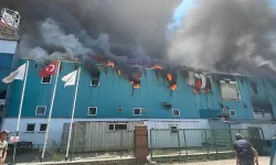 Bolu'da fabrika yangını