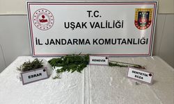 Banaz'da uyuşturucu operasyonunda 1 şüpheli yakalandı