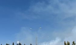 İzmir'de orman yangını