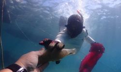 Bodrum'da gönüllü dalgıçlar deniz dibi temizliği yaptı