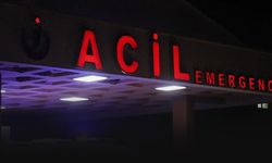 'Düştüm' dedi olay çok farklı çıktı... Eşini bıçaklayan kadın gözaltına alındı!