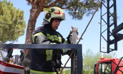 Köpekten kaçıp ağaca tırmandı geri inemedi: Yardımına itfaiye koştu!