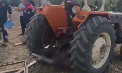 Kütahya'da traktörün altında kalan kadın yaşamını yitirdi