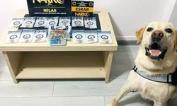 Muğla'da zehir operasyonu: 5 kişi tutuklandı