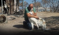 İzmir'deki asrın felaketinde alevlerin ortasında kalmıştı... Yeni yuvasına kavuştu!