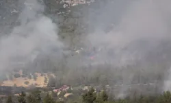 Denizli'de orman yangını