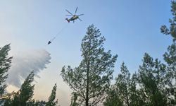 Denizli'nin orman yangını çıktı