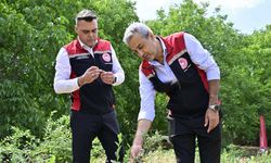 İzmir'in ilk toprağa dikim blueberryleri hasat edildi