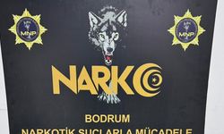 Muğla'da yasaklı operasyonlarında 24 tutuklama
