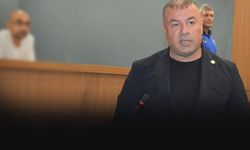 Aydemir’den yanan ormanlar için zeytin ağacı önerisi: Toprağı da geleceği de kurtarır!