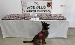 Aydın'da zehir tacirleri çevirmeye takıldı: 3 şüpheli tutuklandı