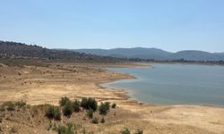 Bodrum'da barajlar alarm veriyor: Kritik seviyeye düştü!