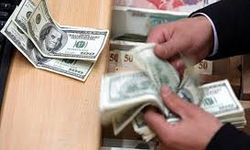 Dev banka Euro ve dolar yatırımcılarını uyardı!