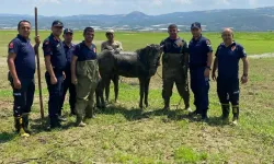 Katırlarını kurtarmak isterken bataklığa saplandılar: İmdatlarına itfaiye yetişti
