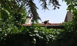 Yaşlı çift neye uğradığını şaşırdı: Evin çatısına roket düştü!