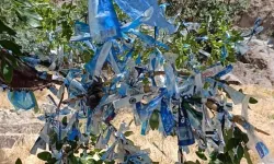 Ağaçlara bağlanan poşet ve bez parçalarını topladılar