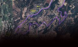 Bakanlık Bornova’da tarım ve zeytin arazisini imara açtı: İşte arsa toplayan o 3 firma!