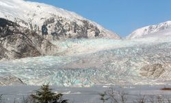 40 bin yıllık mikrop canlandı: Bilim insanları şok içinde
