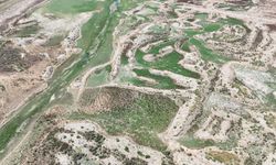 'Su kaynaklarının azalması tarımı sert şekilde etkiliyor'