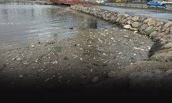 İzmir'i sağanak vurdu... Çöpler denize taştı!