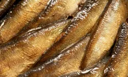 Uzmanlara göre hafızayı güçlendiren 8 vitamin