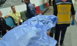 Otostop çektikleri aracın sürücüsünü dövüp bıçakladılar