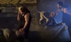 Yardım çığlıkları attı, kimse kurtaramadı: Korkunç Pitbull saldırısı!