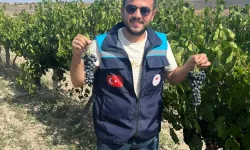 Afyonkarahisar'ın Karacalar üzümüne coğrafi işaret