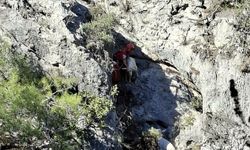 Fethiye'de kayalıkta mahsur kalan 4 keçiyi, AKUT kurtardı