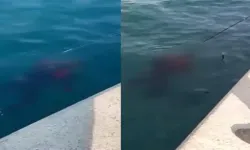 Boğaz'da bulunan cesedin sırrı çözüldü