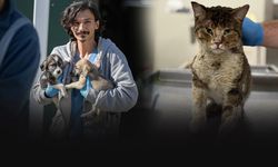 Çörekçi ve 30 kedisi yangında can vermişti... Kurtarılanlara Büyükşehir sahip çıktı!