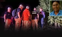 Kayıp olarak aranıyordu... Ağacın altında cansız bedeni bulundu!